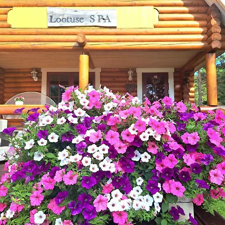 Lootuse بيت للعطل *