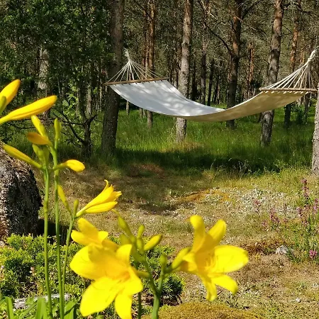Lootuse * Nõmmemaa