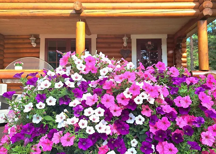 Lootuse Holiday home *