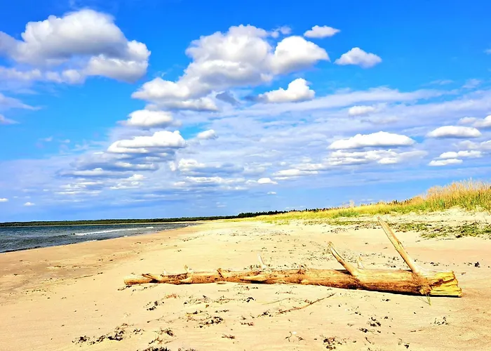 Holiday home Lootuse *